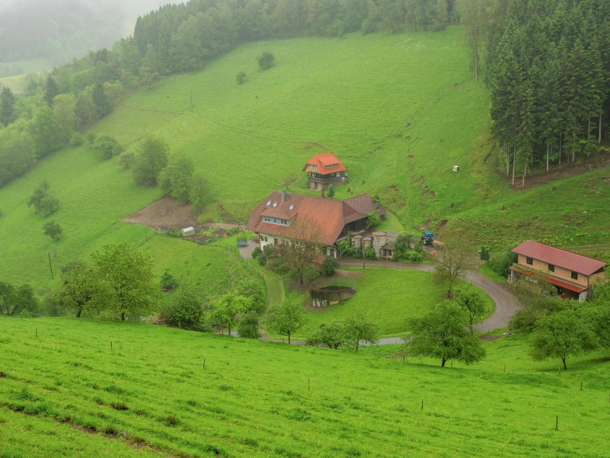Cosy Farmhouse Apartment At The Edge Of The Forest Muehlenbach ภายนอก รูปภาพ
