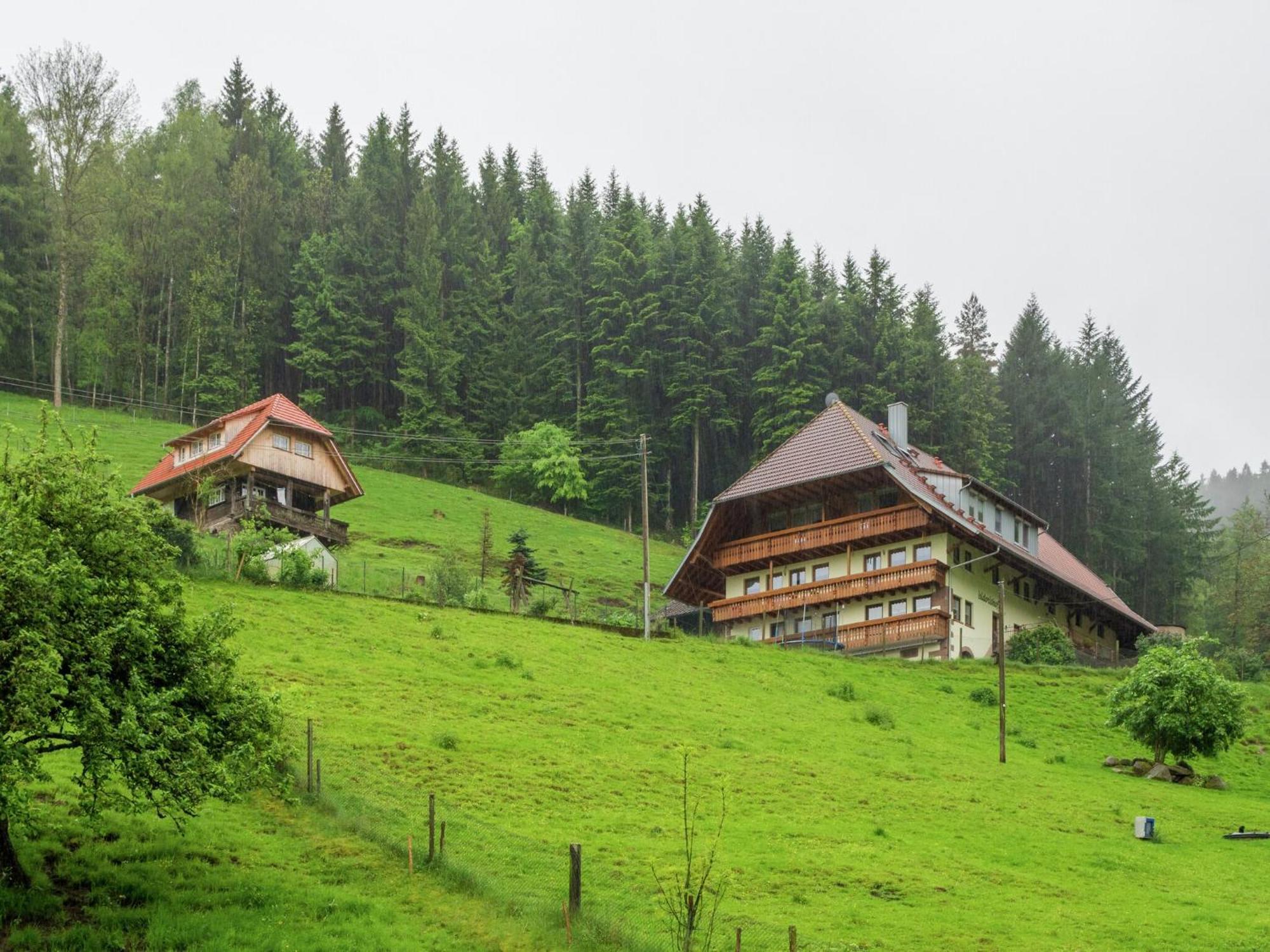 Cosy Farmhouse Apartment At The Edge Of The Forest Muehlenbach ภายนอก รูปภาพ